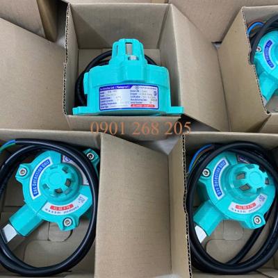 ĐẦU DÒ GAS PHÒNG NỔ EA-100 TOP GAS